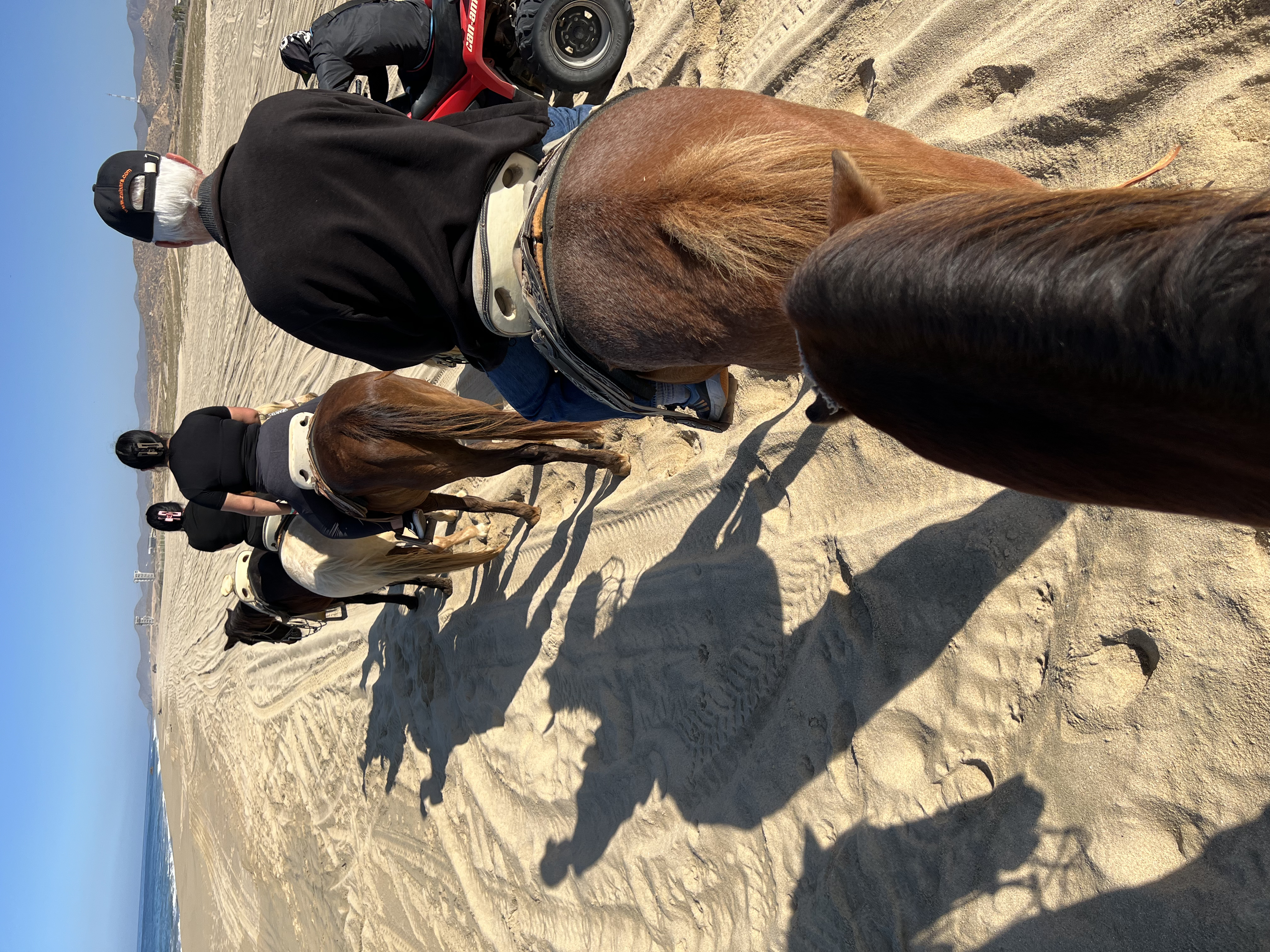 ./2024/13 - Cabo/IMG_4415.jpg